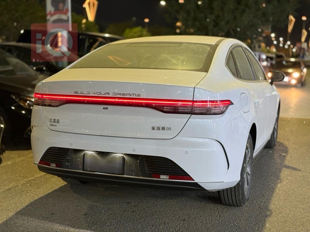 بي واي دي ديستروير 05